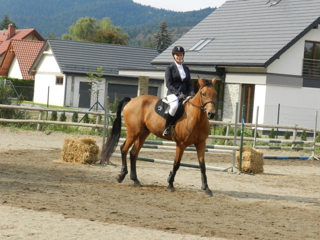 Babie Lato 2016